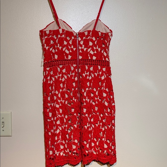 Just Me Red Lace Mini Dress - Picture 4 of 5
